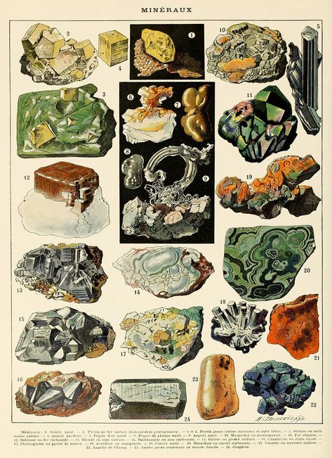 Encyclopedia Illustration, Minerals Print, Minerals Art, Scientific Illustration, Art Antique, Office Wall Art, Book Plates, Antique Prints, Rocks And Minerals