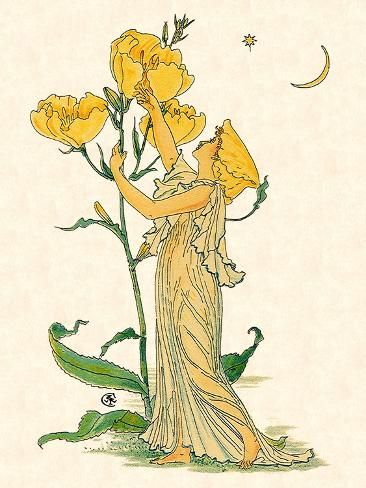 size: 12x9in Giclee Print: Evening Primrose Nymph, 1889 by Walter Crane : Artists One of the 19th century’s most beloved children’s illustrators, British artist Walter Crane (1845 - 1915) was barely out of his own childhood when he first gained recognition. At age 13, Crane created designs for Tennyson’s poem, "The Lady of Shalott," that were so impressive, famous engraver William James Linton offered him an apprenticeship. Crane was strongly influenced by Japanese prints, and his innovative ill Wall Art Insp, Collage Wall Prints Vintage, Storybook Art Vintage, Vintage Autumn Illustration, Vintage Fairy Art, Wall Prints Vintage, Vintage Wall Prints, Vintage Flower Fairy, Cottagecore Tattoo