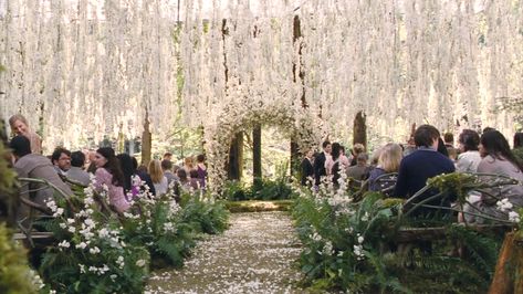 Twilight Wedding Scene, Breaking Dawn Wedding, Bella Y Edward, Wisteria Wedding, Twilight Wedding, Forest Theme Wedding, Bella Wedding, Twilight Breaking Dawn, Edward Bella