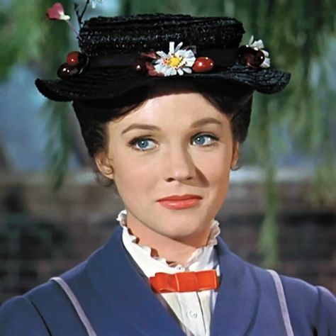 Mary Poppins Costume, Netflix Show, Julie Andrews, Costume Diy, New Netflix, Mary Poppins