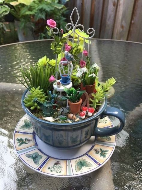 Indoor Fairy Garden Ideas, Gardening Room, Fairy Garden Design Ideas, Gardening Party, Indoor Fairy Garden, Tanaman Sukulen, Kitchen Gardening, Indoor Fairy Gardens, Teacup Gardens