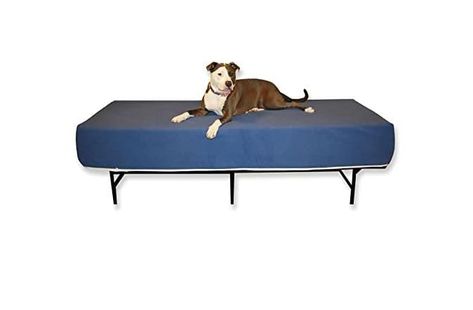 Dog Bed Mattress Extender for King Beds - Customizable Elevated/Raised Foam Dog Bed - Multiple Height & Color Options - Dog Bed Extension of Human Mattress (16" Height Dog Bed, Gray) Crib Mattress Dog Bed Raised, Under Bed Dog Room, Under Window Dog Bed, Dog Bed On Side Of Bed, Dog Bed Roof, Big Dog Beds In Bedroom, Bed Extension For Dog, Dog Bed Extension, Dog Bed Bench