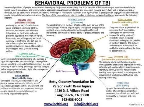 [Infographic] Behavioral Broblems of TBI Frontal Lobe Damage, Frontal Lobe Function, Post Concussion Syndrome, Cerebral Cortex, Frontal Lobe, The Human Brain, Brain Science, Brain Damage, Speech Language Pathology