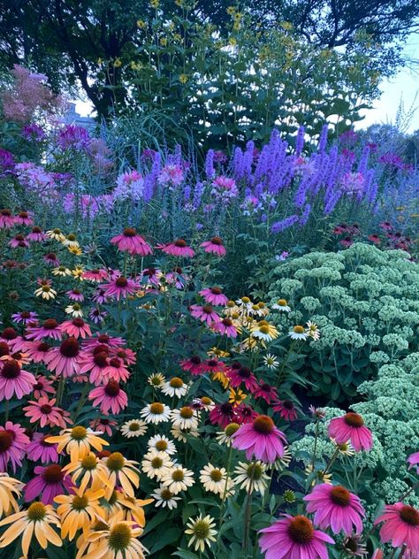 Anemone Garden Ideas, Wild Flowers Pictures, Flower Garden Photos, Beautiful Gardens Magical, Wild Flower Garden Ideas, Landscape Ideas Modern, Wildflower Landscaping, Front Lawn Landscape Ideas, Wildflower Garden Ideas