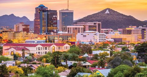 Planting a Million Trees in the Semi-Arid Desert to Combat Climate Change Downtown Tucson, Spiritual Places, Sonora Desert, Arizona City, Water Landscape, Southern Arizona, The University Of Arizona, Sonoran Desert, Arizona Usa