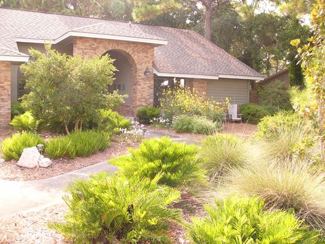 Oakleaf Hydrangea Landscape, Native Landscape Design, Coastal Backyard, Florida Gardens, Native Nursery, Native Landscaping, Native Plant Landscape, Hydrangea Landscaping, Florida Native Plants