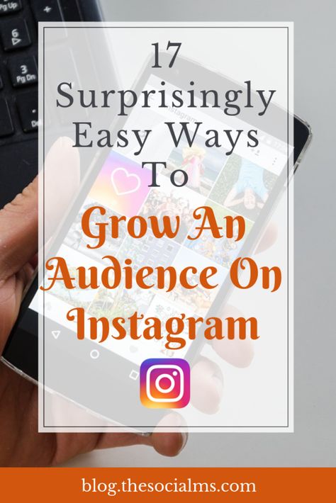 17 Surprisingly Easy Ways To Growing An Audience On Instagram Instagram Marketing Plan, Grow Instagram Followers, Instagram Business Marketing, Instagram Ad Campaigns, Get Instagram Followers, More Followers On Instagram, More Instagram Followers, Grow Instagram, Instagram Marketing Strategy