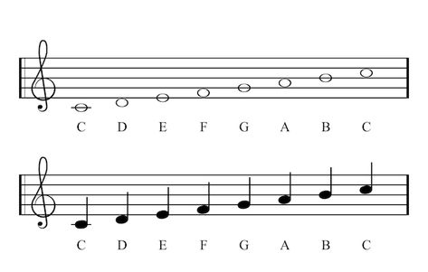 Vector c major scale, full notes. key of... | Premium Vector #Freepik #vector #clef #treble-clef #music-notes #music-key Music Keys, Treble Clef Notes, C Major Scale, Notes Key, Music Key, Key Signatures, Major Scale, C Major, Western Music