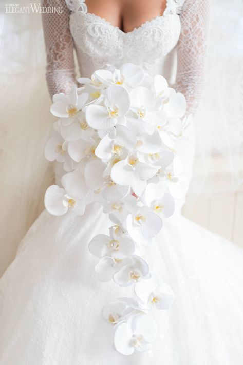 White Bride Bouquets Elegant, Royal Bridal Bouquet, Phalaenopsis Orchid Bouquet Wedding, Orchid Wedding Bouquet White, Orchid Bridal Bouquets Unique, Orchid Flower Bouquet Wedding, White Orchid Wedding Bouquet, White Orchid Bouquet Wedding, Elegant Wedding Bouquet Ideas