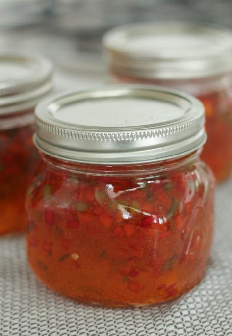 How To Can Pepper Jelly, Canned Pepper Jelly, Easy Red Pepper Jelly, Red Pepper Jelly Recipe, Canning Hot Peppers, Canning Homemade Salsa, Pepper Jelly Recipe, Blackberry Jam Recipes, Pepper Jelly Recipes