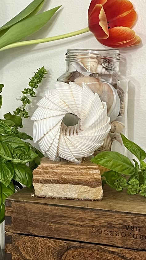 An assortment of delicate shells arrayed in a concentric circle characterizes this captivating sculpture. Set upon a flagstone base, the radial design highlights its mesmerizing organic beauty with a range of natural seaside colors and textures. GOOD TO KNOW INFO * Original Artwork - Signed on bottom. * Overall size measures approximately 5" x 4" x 2.5". * Flagstone base has cork bottom to protect surfaces.  * Please note that colors shown may differ slightly due to monitor settings. Decorating With Shells Ideas, Large Clam Shell Crafts, Sea Shell Sculpture, Large Seashell Display Ideas, Cockle Shell Crafts, Conch Shell Crafts, Things To Do With Sea Shells, Beach Shell Crafts, Seashell Crafts Diy