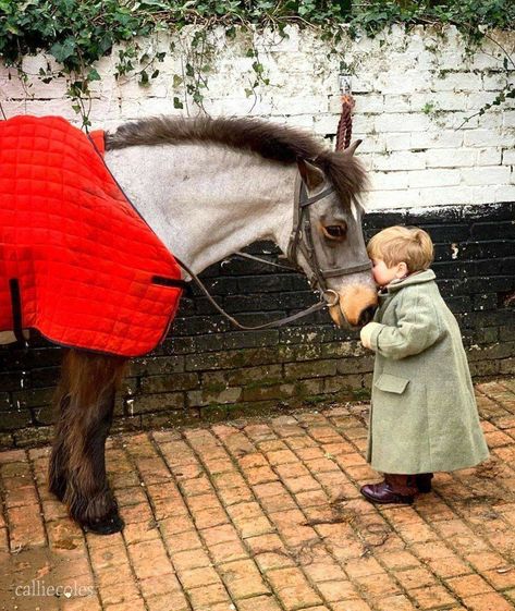 Callie Coles, English Countryside Aesthetic, Family Aesthetic, Merlin Series, Eventing Horses, Equestrian Lifestyle, All About Horses, February 9, Watercolor Inspiration