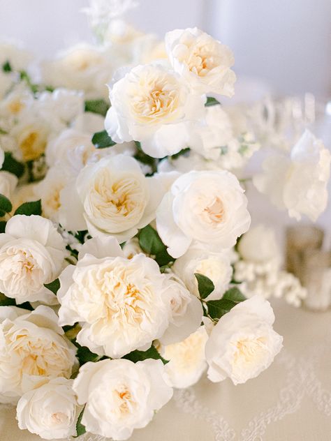 White Garden Rose, Roses For Wedding, David Austin Wedding, Ivory Wedding Flowers, Floral Archway, Flower Varieties, Wedding Roses, Contemporary Bohemian, Austin Rose