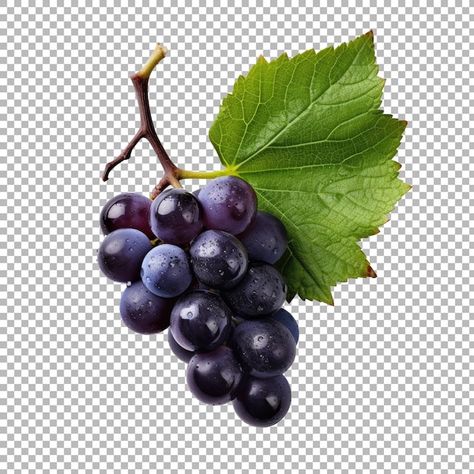 PSD grapes with leaf isolated on transpa... | Premium Psd #Freepik #psd #wine-grapes #grape-vine #grape #grape-fruit Fruits Reference, Grapes Photography, Vine Grape, Haha Photos, Grape Design, Wine Grapes, Purple Grapes, Statue Sculpture, Print Ideas