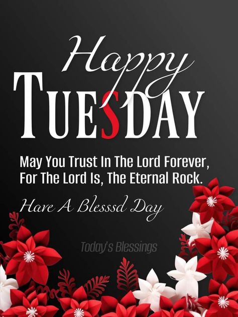 Tuesday December Quotes, Day And Night Quotes, Good Morning Gif Images, Prayer Of The Day, Terrific Tuesday, Tuesday Blessings, Family Wall Quotes, December Quotes, Happy Tuesday Quotes