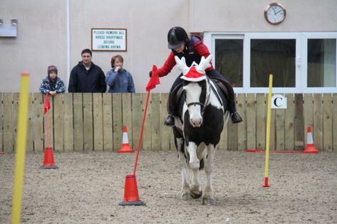 flag race - Gymkhana Horse Games Gymkhana Horse Games, Therapeutic Horseback Riding, Riding Ideas, Horse Brushes, Pony Games, Equestrian Dressage, Horse Lessons, Horse Arena, Horse Exercises