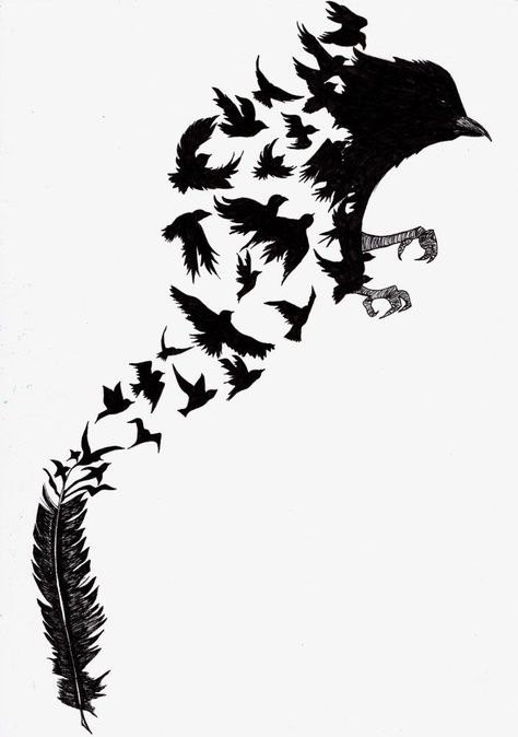 Tato Phoenix, Rabe Tattoo, Metamorphosis Art, Open Mindedness, Crow Tattoo, Raven Tattoo, Flock Of Birds, Feather Tattoo, Dark Art Drawings