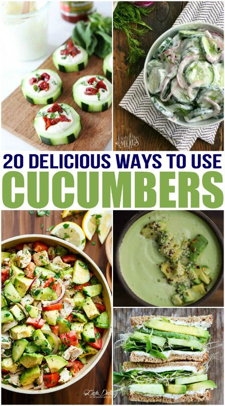 20 Delicious Cucumber Recipes Cucumber Dishes Dinners, Apps With Cucumber, What To Eat With Cucumbers, Sides With Cucumber, Eat Fresh Recipes, Keto Recipes With Cucumbers, Healthy Cucumber Side Dishes, Savory Cucumber Recipes, Uses For Cucumbers Recipes For