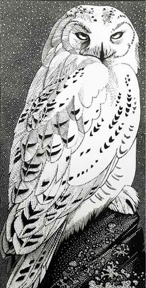 Little Bird Drawing, Snowy Owl Tattoo, Enchanted Animals, Snowy Owl Art, Bird Sketches, Embroidery Bird, Owl Sketch, Woodcut Illustration, Owl Drawing