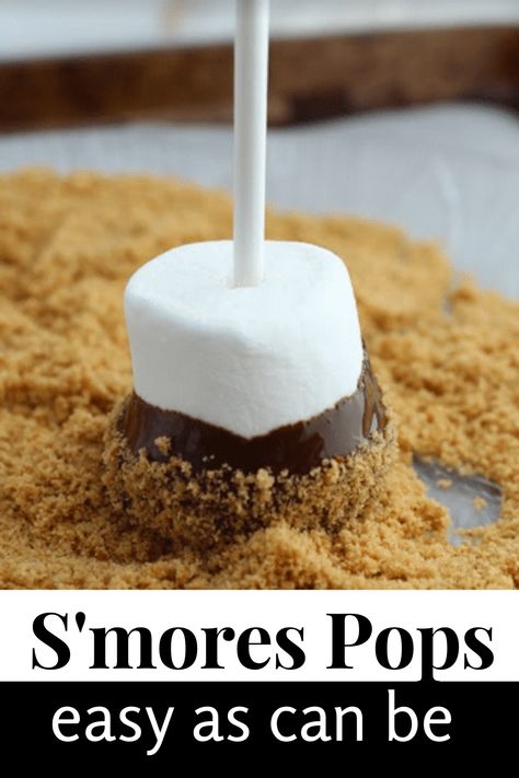 Pre Made Smores, S’more Snack Ideas, Smores Breakfast Ideas, Smore Marshmallow Pops, S’more Marshmallow Pops, S’more On A Stick, S’more Alternatives, Bake Sale Ideas Smores, S’mores Pretzel Rods