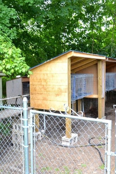 This post is all about outdoor rabbitry setup ideas and tips to help you create a rabbitry you love and a rabbitry that works the best for you. Rabbitry Setup Ideas Shed, Rabbitry Setup Ideas, Rabbitry Setup, Meat Rabbits, Bunny Hutch, Rabbit Cages, Rabbit Run, Rabbit Hutch, Rabbit Care