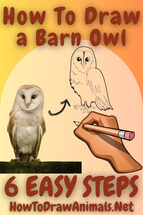 learn how to easily draw a barn owl in just 6 steps Sketching Skills, Easy Drawing Tutorial, Sketching Techniques, A Barn, Easy Drawing, Tutorial Video, Barn Owl, Easy Steps, Drawing Tutorial