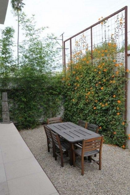 privacy fence screen ideas climbing plants garden wooden furniture Green Backyard Landscaping, Garden Arch Trellis, Diy Privacy Fence, Budget Landscaping, Green Backyard, Small Yard Landscaping, Privacy Landscaping, Cheap Backyard, Backyard Plants