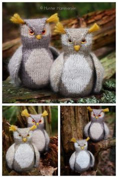 Amigurumi Free Knitting Pattern, Free Owl Knitting Pattern, Knit Bird Pattern, Bird Knitting Pattern Free, Knit Owl Patterns Free, Knitted Owls Pattern Free, Knitted Bears Free Patterns, Free Animal Knitting Patterns, Animal Knitting Patterns Free