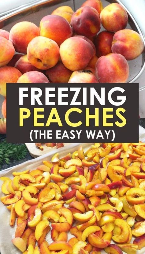 Easy Method for Freezing Peaches: Learn how to freeze peaches without sugar and with the skins! Perfect for pie, for smoothies, and more! Freezer Peaches With Fruit Fresh, How To Freeze Peaches With Fruit Fresh, Freezing Peaches With Fruit Fresh, How To Freeze Peaches, Can Peaches Recipes, Canning Garden, Freezing Peaches, Preserving Vegetables, Sliced Peaches