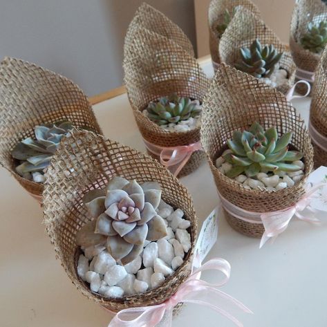 Burlap Wrapped with Succulent Lavender Ribbon, Succulent Ideas, Succulent Tree, Paper Twine, Succulent Favors, Cactus Gifts, Painted Terra Cotta Pots, White Pebbles, Pot Plants