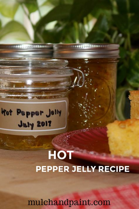 Hot Pepper Jelly Recipe, Habanero Jelly, Pepper Jelly Recipe, Pepper Jelly Recipes, Hot Pepper Jelly, Jelly Recipe, Pepper Jelly, Jelly Recipes, Hot Pepper