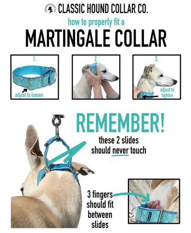 Martingale 101 - Learn more about Martingale Dog Collars by Classic Hound Collar Co. How To Make A Martingale Dog Collar, Martingale Dog Collar Diy, Paracord Martingale Dog Collar Diy, Dog Collar Diy Tutorials, Greyhound Dogs, Paracord Patterns, Dog Collar Pattern, Purple Dog Collar, Velvet Dog Collar