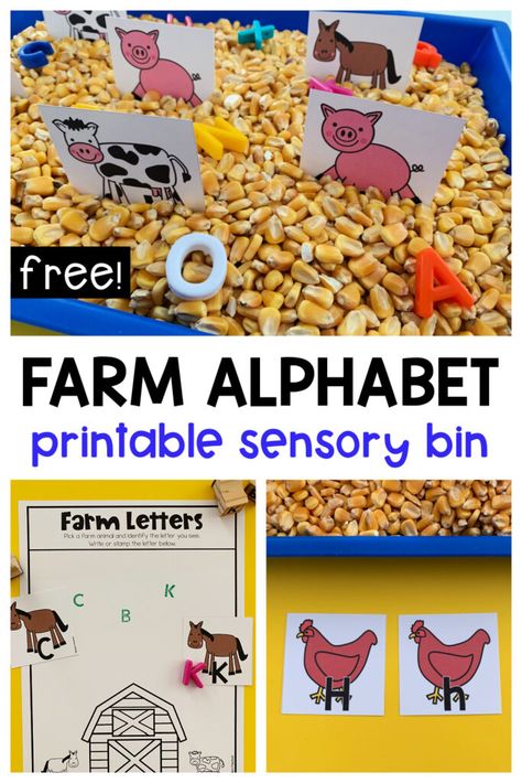 Farm Writing Preschool, Build A Farm Preschool, Farm Letter Activities Preschool, Farm Math Activities Preschool, Farm Sensory Table, Farm Literacy Activities, Farm Animal Sensory Bin, Farm Preschool Activities, Farm Math Activities