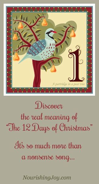 Popular Christmas Songs, 12 Days Of Xmas, Christmas History, Catholic Christmas, The 12 Days Of Christmas, Meaning Of Christmas, Twelve Days Of Christmas, Christmas Song, Christmas Advent