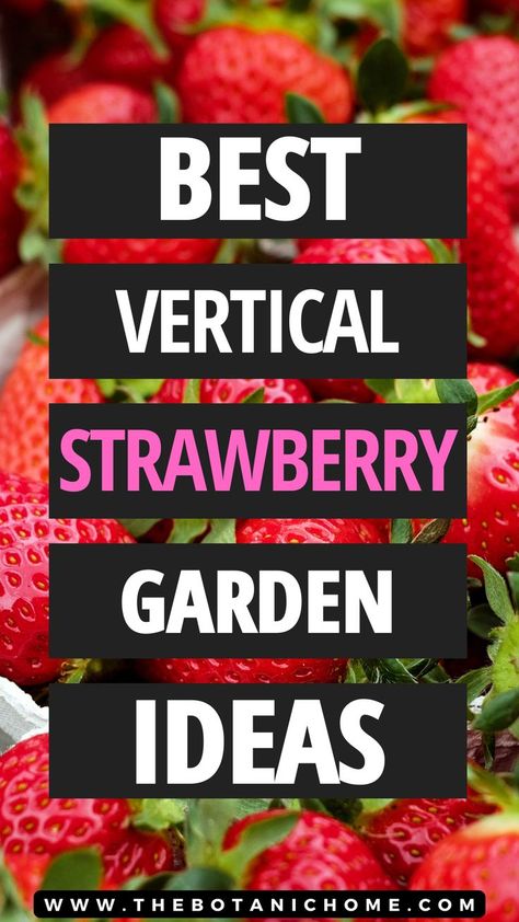 Best vertical strawberry garden ideas Strawberry Trellis, Strawberry Gardening, Growing Strawberries Vertically, Vertical Gardening Ideas, Strawberry Garden, Vertical Gardening, Growing Strawberries, Garden Aesthetic, Gardening For Beginners