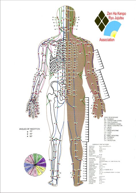 Free Pressure Point Chart - PDF | 11480KB | 5 Page(s) | Page 2 Pressure Point Chart, Pressure Points Chart, Acupressure Points Chart, Acupressure Chart, Acupuncture Charts, Acupuncture Points Chart, Pressure Point Therapy, Ten Rings, Underarm Odor