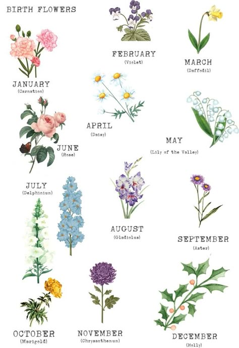 Birth Flower Tattoos, Flower Meanings, Birthday Name, Dainty Tattoos, Flower Names, Language Of Flowers, Month Flowers, Birth Month Flowers, Nursery Signs