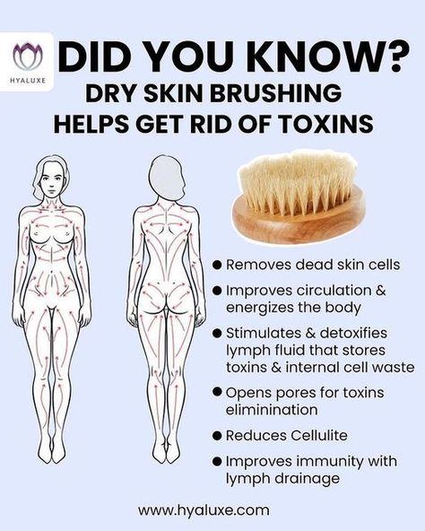 Mother Nature Heals on Instagram: "Comment below whether or not you dry brush 🥰 Medium bristles are best for legs and bum while softer bristles are usually more accommodating to the more sensitive belly skin 😁 Follow us @naturethecure for tips like this every day 🙏 Follow our new page @betterremedies for natural remedies 🌱🙏 Cr: @hyaluxe 🙏👍 Please DM for credit or removal" Dry Skin Brushing, Lymph Drainage Massage, Dry Brushing Skin, Drainage Massage, Lymph Massage, Lymph Drainage, Dry Body Brushing, Skin Brushing, Dry Brush