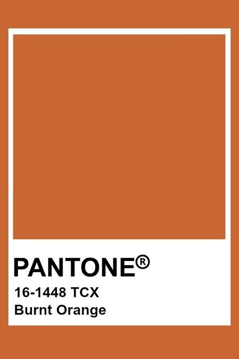 Pantone Orange, Pantone Tcx, Deco Orange, Pantone Swatches, Pantone Palette, Pantone Colour Palettes, Color Chip, Orange Aesthetic, Mood Boost