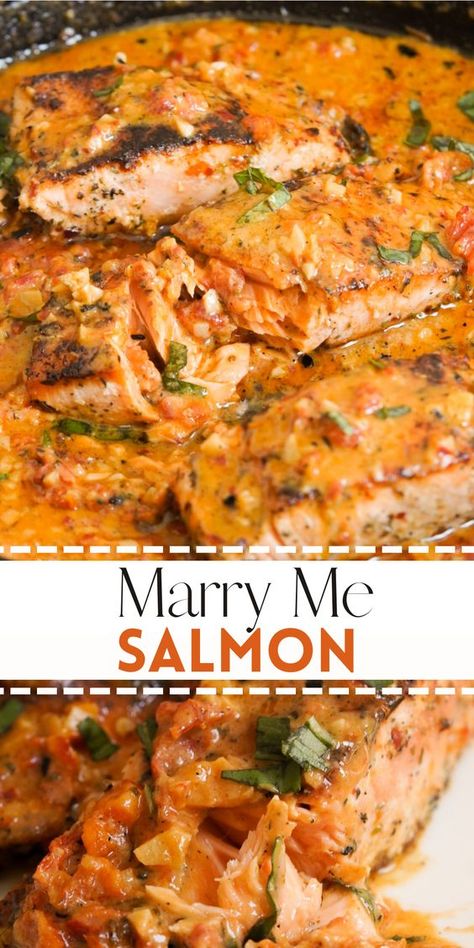 My easy Marry Me Salmon recipe is so yummy, it might just earn you a marriage proposal! This deliciously flaky salmon in a spicy, creamy sun dried tomato sauce takes just 40 minutes to get on the table, but tastes like you spent all day slaving away in the kitchen. Seafood And Fish Recipes, Creamy Salmon And Shrimp Recipes, Marry Me Food Ideas, Salmon And Shrimp Recipes Healthy, Salmon And Sausage Recipes, Salmon Sun Dried Tomato Recipes, New Salmon Recipes, Salmon With Tomato Sauce, Great Fish Recipes