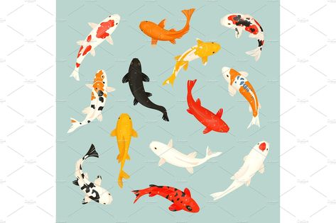 Koi Fish Vector, Chinese Goldfish, Tato Ikan Koi, Illustration Japanese, Koi Painting, Koi Fish Drawing, Koi Fish Designs, Ikan Koi, Koi Art