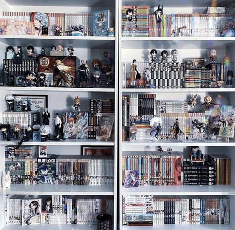 Shelf Collection Display, Manga Shelf Inspiration, Figurine Shelves, Manga Shelf Aesthetic, Manga Shelf Ideas, Manga Display, Magical Bookstore, Manga Shelving, Manga Library