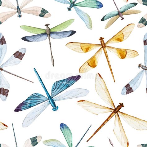 Dragonfly Watercolor, Dragonfly Illustration, Dragonfly Images, Watercolor Lotus, Dragonfly Pattern, Cactus Vector, Leopard Watercolor, Watercolor Dragonfly, Watercolor Feather