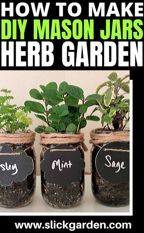 How To Make DIY Mason Jars Herb Garden | Slick Garden. GROW HERBS INDOOR IN CONTAINERS. Grow Herbs In Mason Jars, How To Grow Herbs In Pots, Mason Jar Herb Garden Indoor, Selling Herbs, Diy Mason Jars, Herb Jars, Mason Jar Garden, Easy Vegetables, Herb Growing