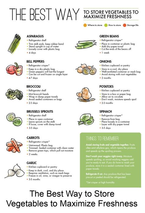 To help you maximize the life of your produce, we put together the best way to store vegetables (and a printable to keep on your fridge, too). Storing Veggies In Pantry, Store Veggies, Store Vegetables, Food Shelf Life, Food Shelf, Produce Storage, Storing Vegetables, Storing Fruit, Fruit And Vegetable Storage