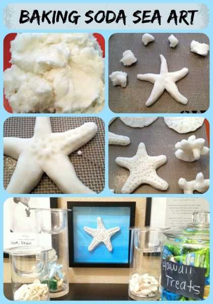 Make Your Own Sea Art – Home and Garden Baking Soda Dough, Easy Dough, Sand Dollars, Ocean Crafts, Elsa Peretti, Sea Art, Kids Fun, Dough Recipe, Activities To Do