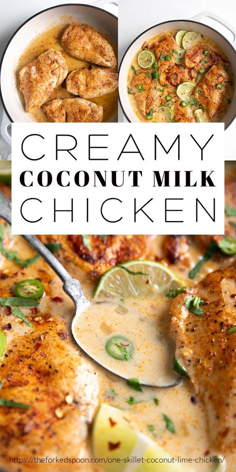 Low Carb Dairy Free Recipes Dinners, One Pan Dairy Free Meals, Carb Free Dairy Free Recipes, Dairy And Carb Free Recipes, Low Carb Coconut Milk Recipes, Dairy Free Low Carb Dinner, Chicken Recipe With Coconut Milk, Dinner Ideas With Coconut Milk, Gluten Free Coconut Milk Recipes