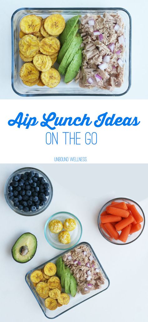 Aip Lunch Ideas, Aip Lunch, Aip Diet Recipes, Autoimmune Paleo Diet, Autoimmune Recipes, Autoimmune Paleo Recipes, Aip Paleo Recipes, Autoimmune Diet, Ideas Lunch