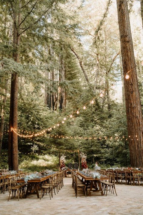 santa-cruz-california-redwood-wedding400 Classy Woodsy Wedding, Redwoods Wedding California, Waterfall Lodge Santa Cruz Wedding, Casual Mountain Wedding, Redwood Wedding California, Sequoia Wedding, Byron Wedding, Santa Cruz Redwoods, Redwoods Wedding