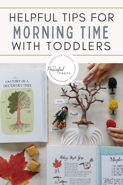 Easy Morning Activities For Kids, Preschool Waldorf Activities, Morning Activities For Preschoolers, Waldorf Toddler Activities, Montessori For Toddlers, Morning Toddler Activities, Toddler Morning Basket Ideas, Homeschool For Toddlers, Preschool Morning Activities